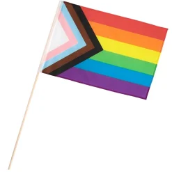 Progress Pride Flag På Pind