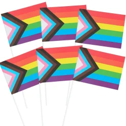 Progress Pride Flag På Pind