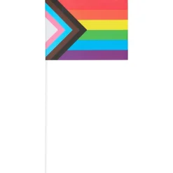 Progress Pride Flag På Pind