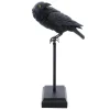 Ravn Skulptur Sort
