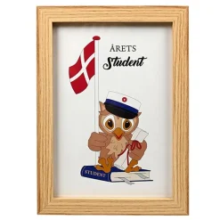 Årets Student Plakat I Ramme