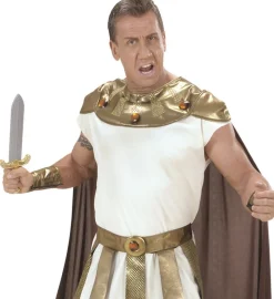 Romer Sværd