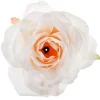 Rose Bordpynt Elfenben