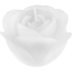 Rose Lys Hvid