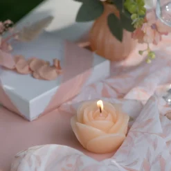 Rose Lys Hvid