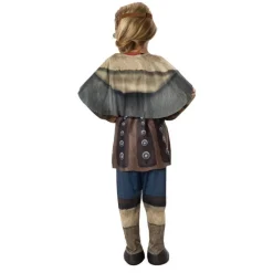 Sådan Træner Du Din Drage® Astrid Børnekostume
