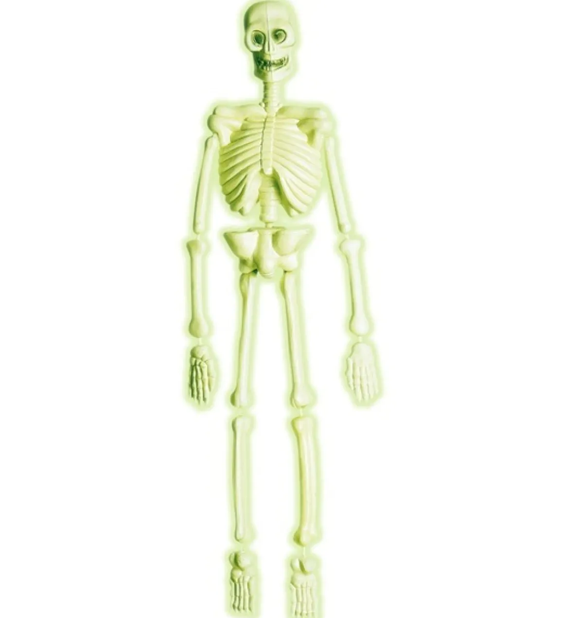 Selvlysende Skelet