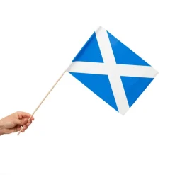 Skotland Flag På Pinde