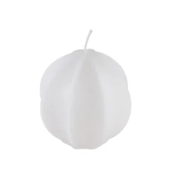 Stjernefrugt Lys Hvid