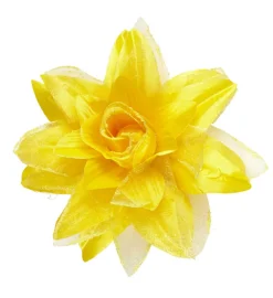 Tropisk Hårblomst Gul