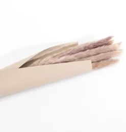 Tørret Sivbundt