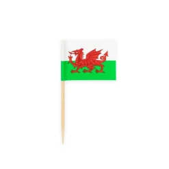 Wales Flag Kagepinde