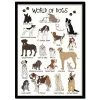 World Of Dogs A4 Plakat